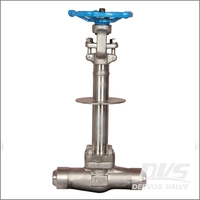 Butt Welded Cryogenic Gate Valve, Extended F304L Body, CL1500, 1 In