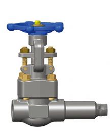 Extended Body Forged Gate Valve, A105N, 1 Inch, Class 800, Male NPT