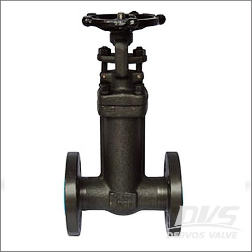 Forged Bellow Seal Gate Valve, A105N, CL150-600 1/2-4 Inch, Flanged