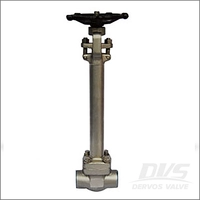 Forged Cryogenic Gate Valve, F316L, Class 1500, 1 In, Bolted Bonnet