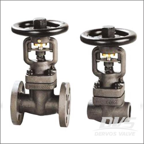 ISO 15761 BSP Gate Valve, A182 F51, NPS 1-2, 800 LB, ASME B16.34