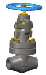Bolted Bonnet Forged Globe Valve, A182 F304L, 1/2-4 IN, CL1500-2500