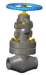 Bolted Bonnet Forged Globe Valve, A182 F304L, 1/2-4 IN, CL1500-2500