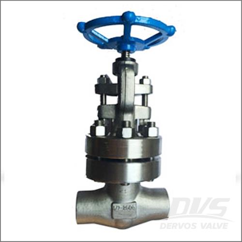 Bolted Bonnet Forged Globe Valve, A182 F304L, 1/2-4 IN, CL1500-2500
