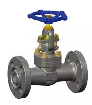 Integral Flanged Globe Valve, Class 150, 2 Inch, A105N, OS&Y