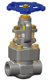 Threaded Forge Globe Valve, ASTM A105N, 1/2 Inch, Class 800, NPT