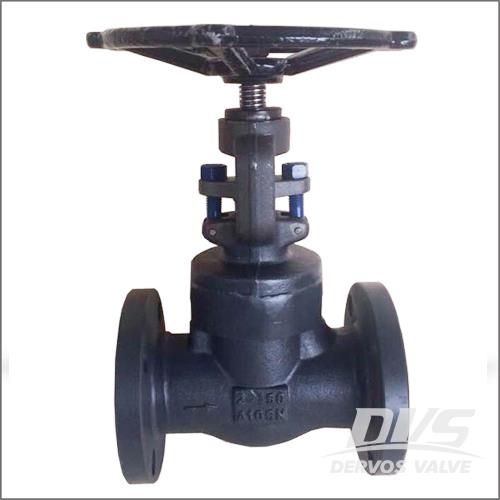 Integral Flanged Type Globe Valve, ASME B16.25, 2 Inch, Class 150