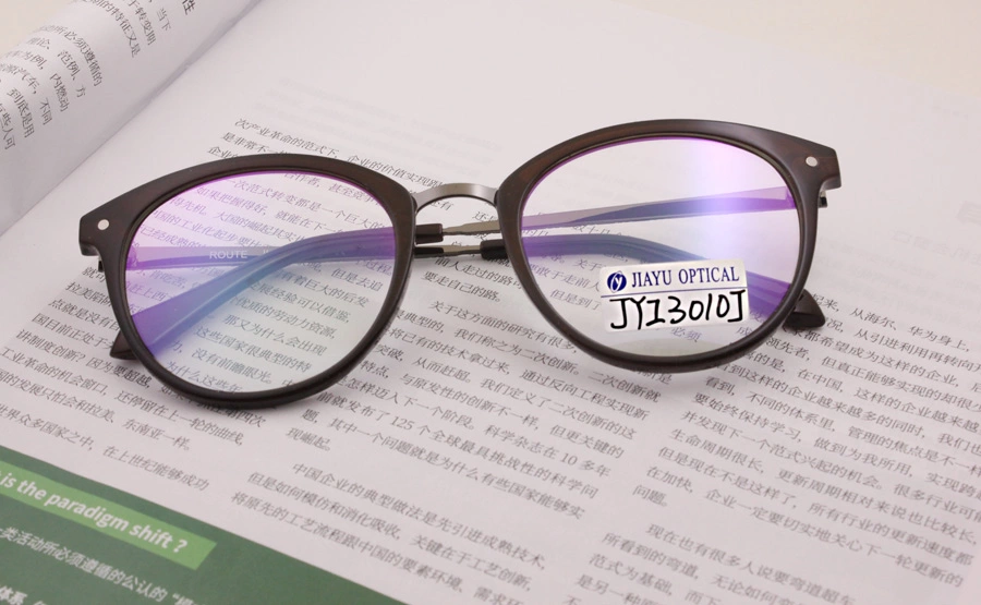 Round Computer Reading Optical Metal Glasses