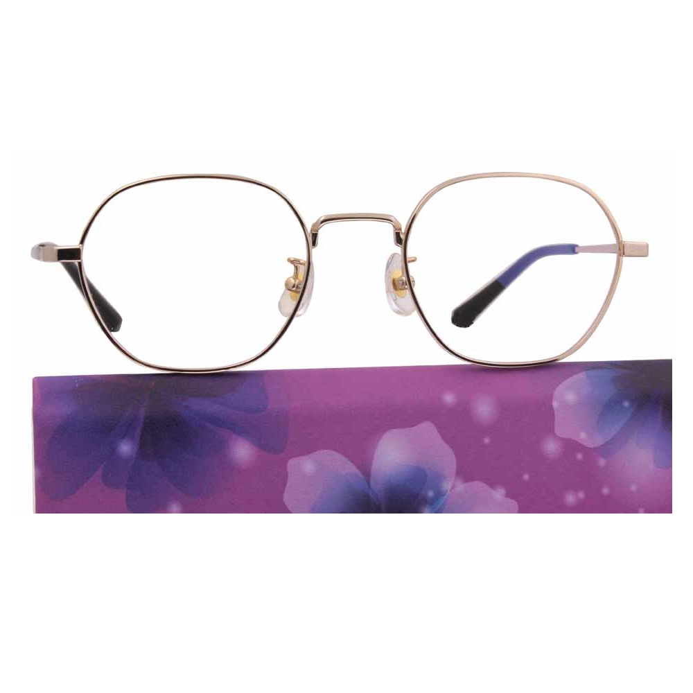  Custom Logo Optical Titanium Eyeglasses Frame