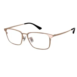 Hot Sale Popular Designer Computer Titanium Optical Frame