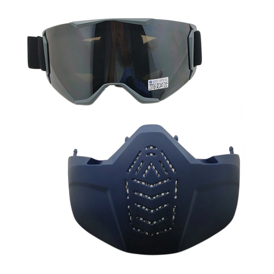 Interchange Face Shield Ski Goggle