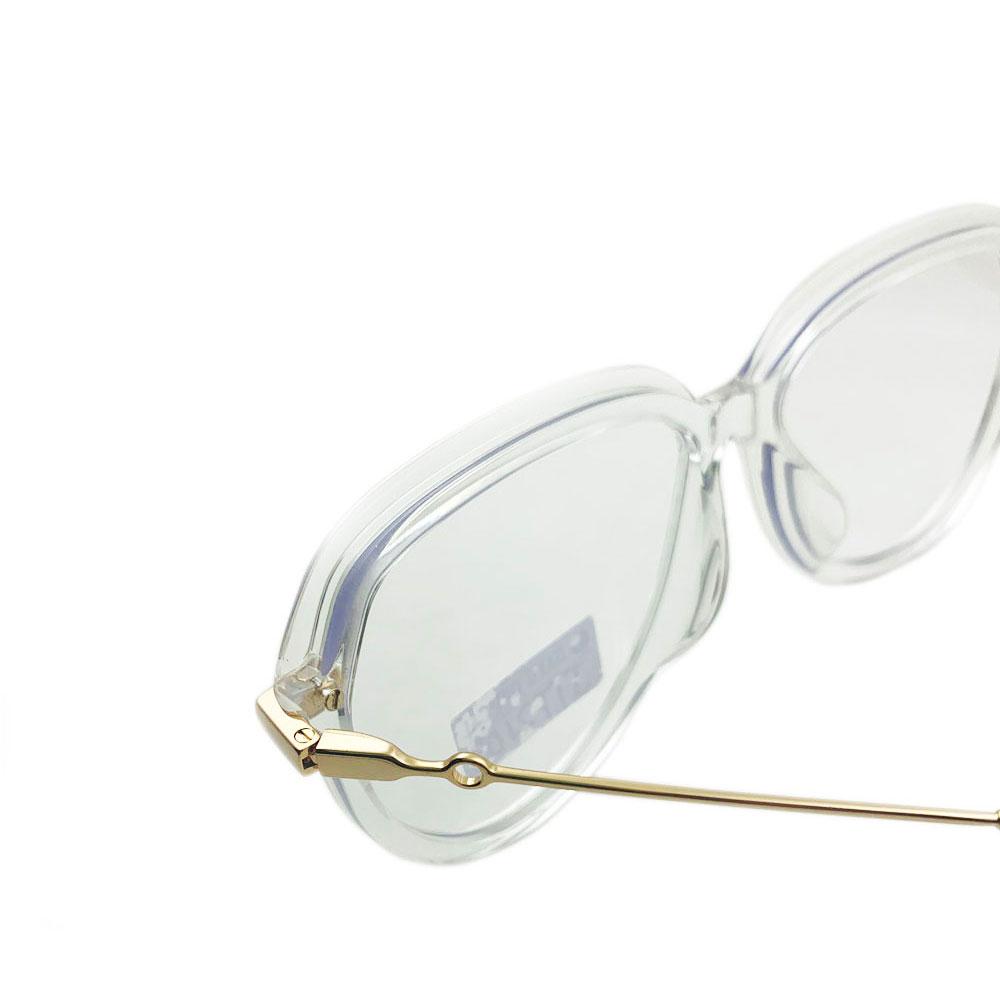 Transparent Polarized Acetate Sunglasses