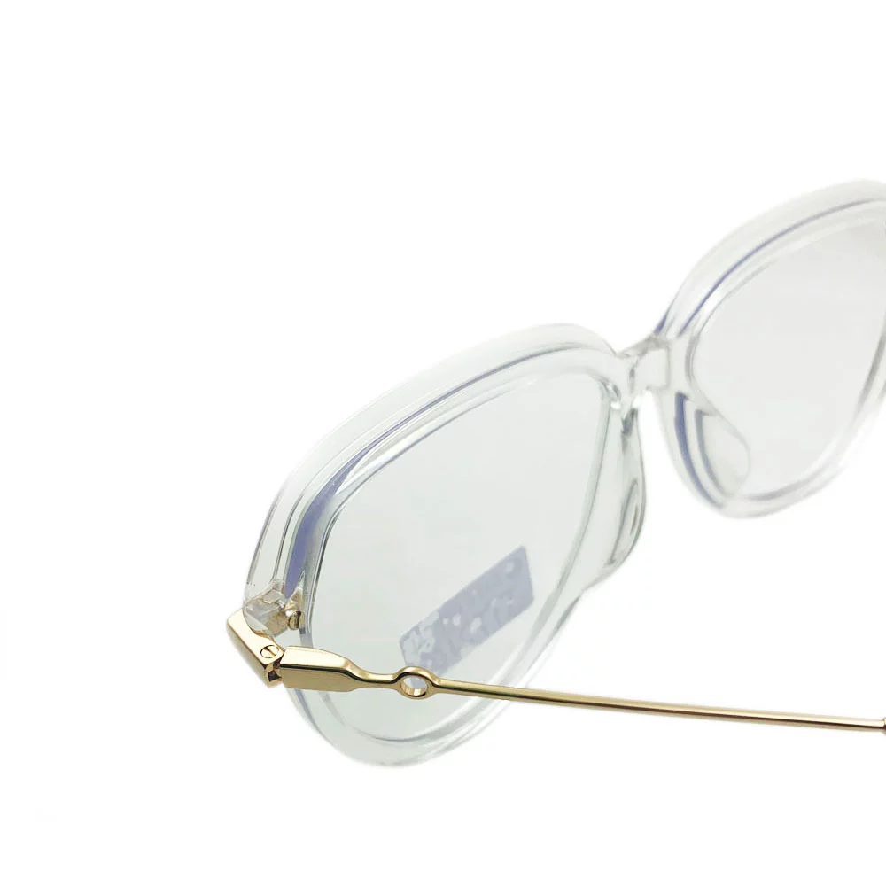 Transparent Polarized Acetate Sunglasses 
