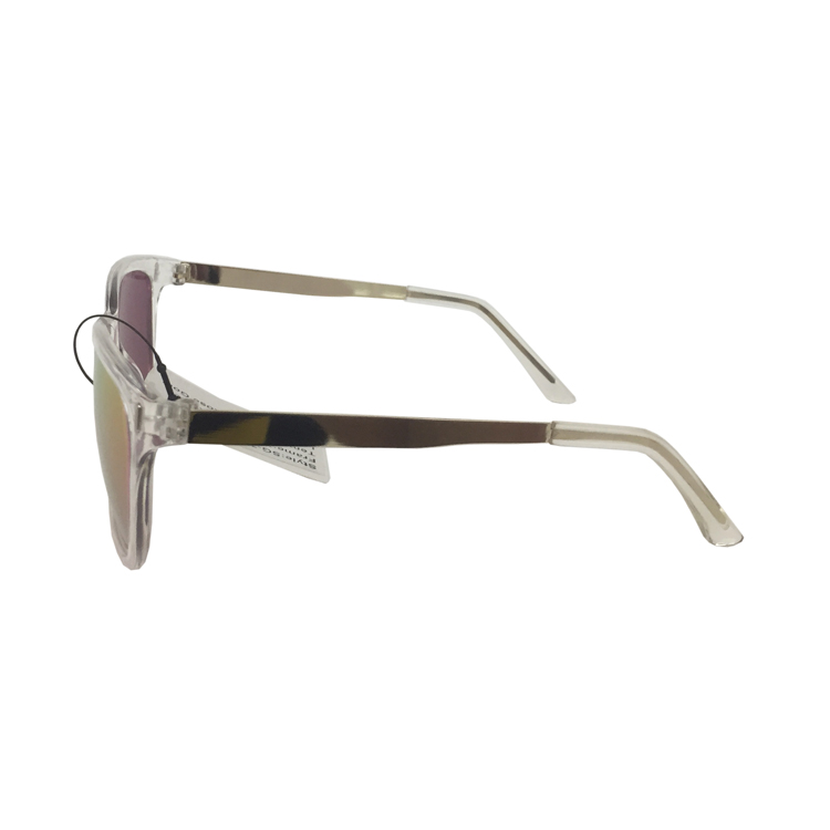 Custom Logo Printing Plastic Transparent Frame Clear Sunglasses