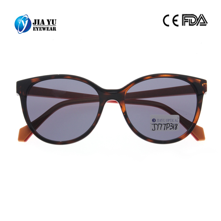 New Fashion Custom Branded Arms Interchangeable Women Plastic Sunglasses