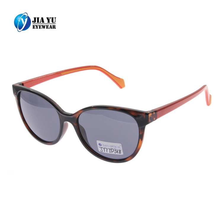 New Fashion Custom Branded Arms Interchangeable Women Plastic Sunglasses