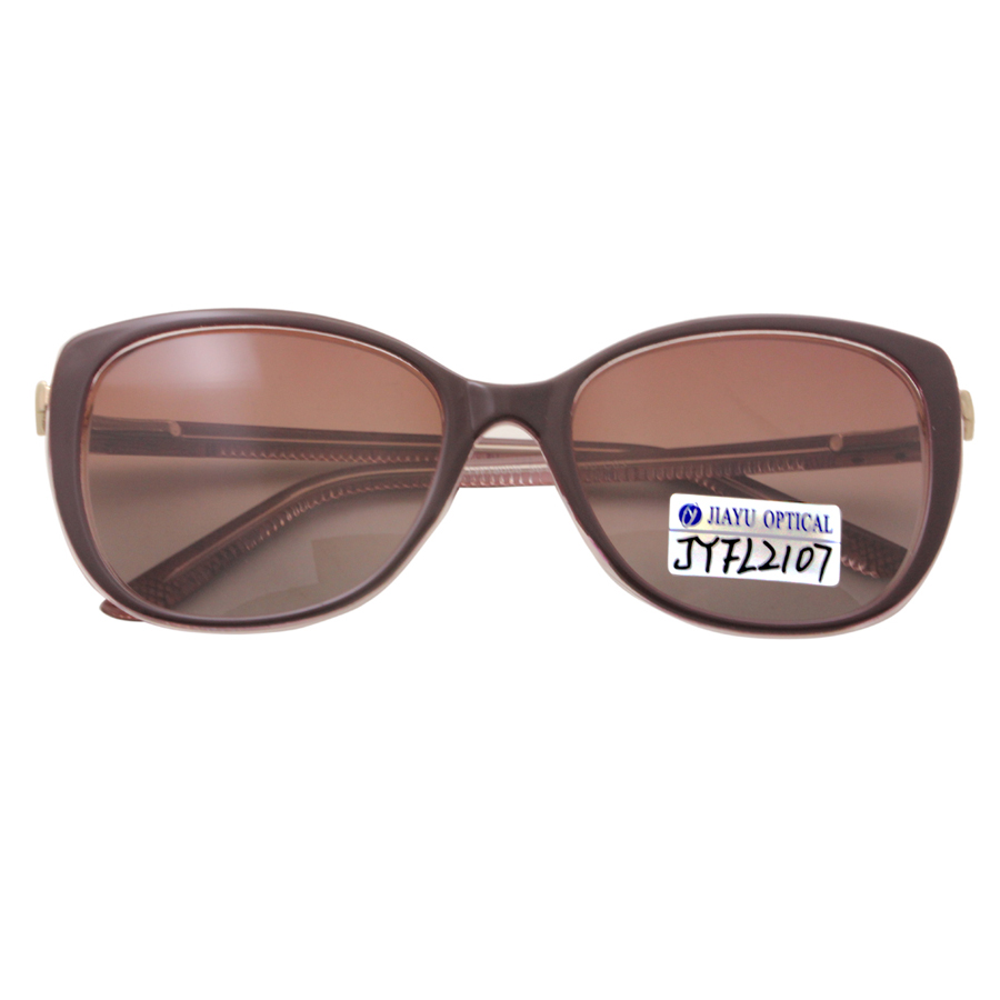 Large Frame Cat Eye Plastic Oversize Women Fashion Glasses