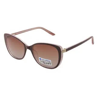 Large Frame Cat Eye Plastic Oversize Women Fashion Glasses