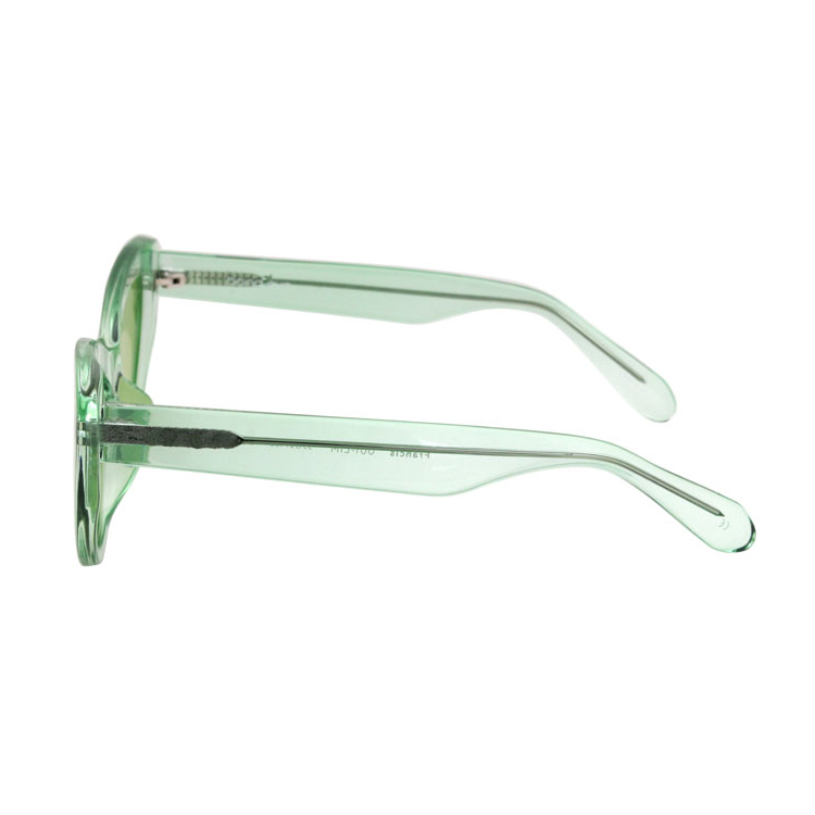TG Frame CP Arms Womens Clear Frame Retro Cat Eye Shades Sunglasses