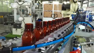 Types of Bottle Blowing Machines