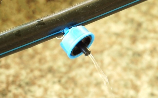 Excessive Irrigation