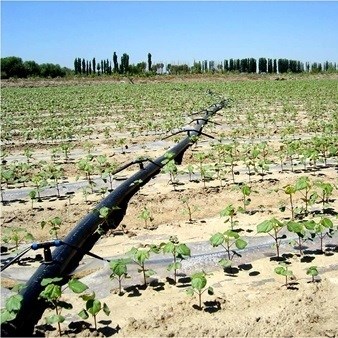 Agricultural Irrigation PE Pipes