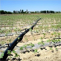 Installation Notes for Agricultural Irrigation PE Pipes