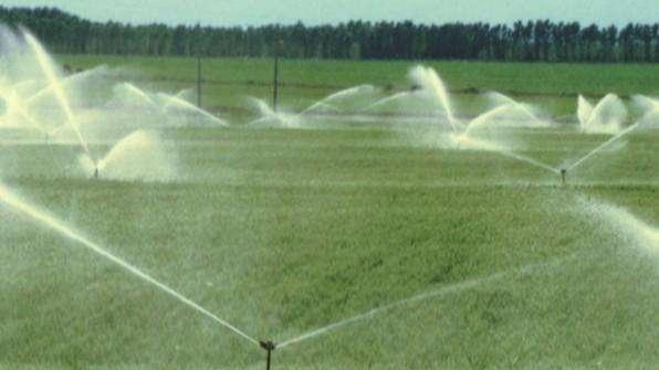 Sprinkling irrigation