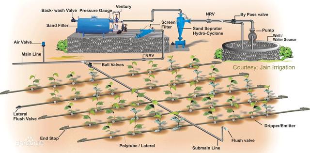 Drip irrigation