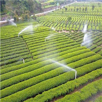 The Main Structure of Sprinkler Irrigation Systems
