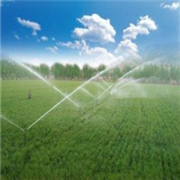 What Is the Automatic Control of Drip Irrigation Systems?