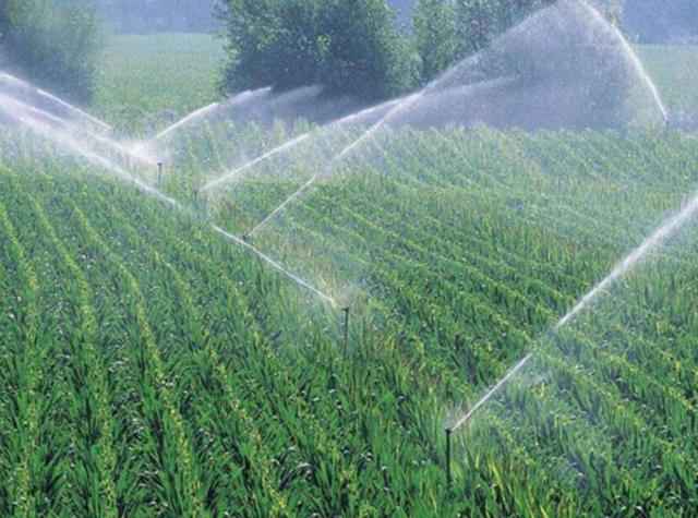 New Technology of Orchard Pipe Irrigation