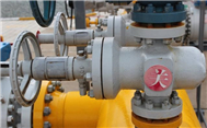 Disadvantages, Common Faults and Maintenance of Gate Valves