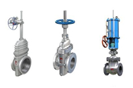 What Is the Meaning of the Gate Valve Model?