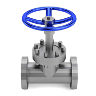 The History of Valves
