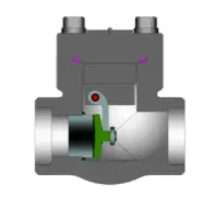 The Overhaul of Check Valves in Power Plants