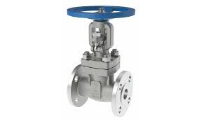 Common Problems with Soft-seal Gate Valves