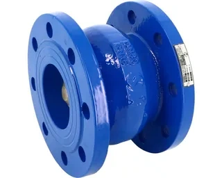 Spring Loaded Check Valves: A Comprehensive Guide for Efficient Backflow Prevention