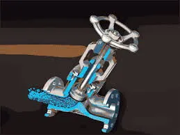 Why is the Globe Valve Designed with a Low Inlet and High Outlet?