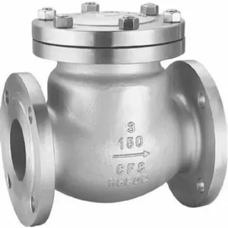 Stainless Steel Check Valves: Ensuring Safe, Efficient, and Reliable Flow Control