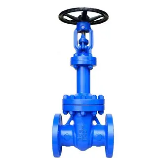 What You Need to Know About Bellows Seal Gate Valves