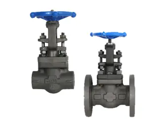 Comprehensive Guide to Forged Steel Gate Valves: Design, Functionality, and Applications