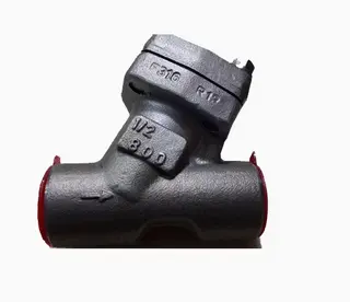 Forged Steel Y-Type Strainer