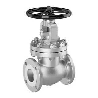 Bolted Bonnet Globe Valve: Reliable Control for Critical Applications
