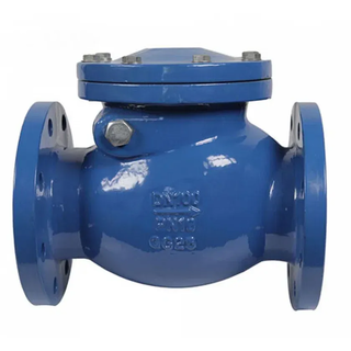 Comprehensive Guide to Swing Check Valves: Design, Function, and Applications