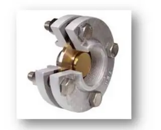 Center Guided Check Valve