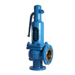 Spring Loaded Safety Valves: A Critical Line of Defense for Industrial Safety