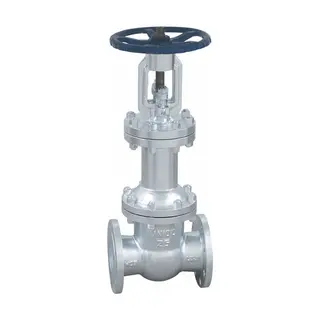 What Is a Bellows Gate Valve and How Does It Work?
