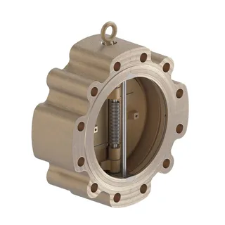 Understanding Lug Type Check Valves: Functionality, Benefits, and Industrial Applications