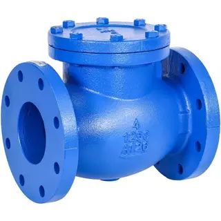 Check Valves in Oilfield Ground Engineering: Comprehensive Selection and Installation Guidelines